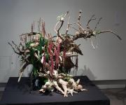 03 - Terry Hodgins  -- Apex Floral Distributors.jpg 6.0K